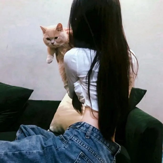 美丽失败者